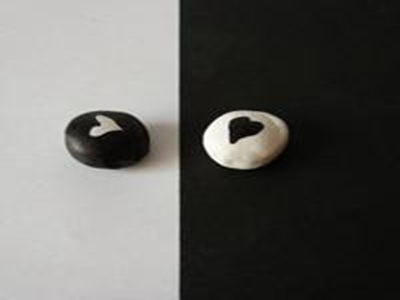 含羞草入口,奇幻世界新标杆，含羞草探险记-3